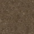 Stone Age Tile CAESARSTONE Countertops - Wild-Rice-4360